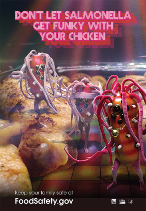 Don't Let Salmonella Get Funky with Your Chicken